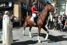 Gairebé 200 cavalls participen a la festa de Sant Antoni Abat a Olot