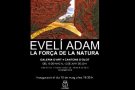L'artista ripollès Evelí Adam exposa a la Galeria 4 Cantons d'Olot