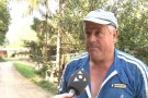 El Departament d'agricultura activa l'alerta cinegètica contra el porc senglar en 180 dels 221 municipis de Girona