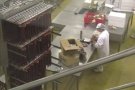 Les empreses càrnies gironines busquen nous mercats exteriors per contrarestar el veto rus