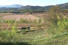 Mor el conductor d'un tractor en bolcar el vehicle en un mas d'Olot