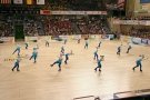El Pavelló Municipal d'Esports d'Olot acollirà, aquest dissabte, la Gala de Campions de Patinatge Artístic 2014