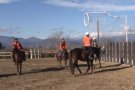 Olot acollirà al febrer la 3a Gala dels Premis Horseball Catalunya, que reunirà els millors jugadors i clubs d'aquest esport
