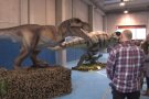 El Pavelló Firal d'Olot s'omple de reproduccions de dinosaures a mida real durant tot el cap de setmana