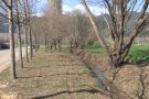 La Vall de Bianya neteja de restes vegetals la zona de Morrals i l'adequa per ordenar l'entorn de la via verda que hi passa