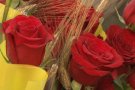 El Sant Jordi llueix més que mai al Firal d'Olot, amb 72 parades d'entitats que recapten fons amb la venda de roses