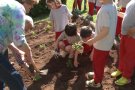 Una plantada d'herbes i flors als jardins del Monestir dona el tret de sortida al Sant Joan les Flors