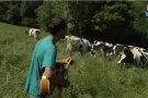 La Fageda i Teràpia de Shock presenten un videoclip amb les vaques de la cooperativa al Palau de la Música