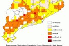 El risc per incendi forestal a la Garrotxa es baix amb zones de perill moderat a Riudaura i Sant Feliu de Pallerols