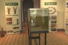El  Museu dels Volcans dedica una exposició al cranc de riu autòcton