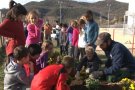 250 alumnes de primària d'Olot s'impliquen en el projecte Viles Florides amb la plantació de parterres florals