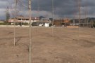 La plaça del Jonquer de Les Planes d'Hostoles ja té plantada tota la zona arbrada