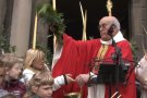 Més de mig miler de persones acudeixen a la benedicció de palmes i rams a l'església de Sant Esteve d'Olot