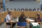 El ple d'Olot aprova el pronunciament sobre la consulta dels correbous i permetrà l'obertura de clubs cannàbics