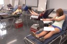 Noves jornades de donació de sang a Olot