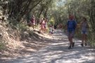 Més de 26.400 persones van visitar Sant Aniol durant el període de regulació d'accés motoritzat a Sadernes