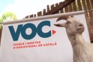 El projecte VOC arriba a la Garrotxa amb la intenció d'apropar els treballs audiovisuals en català al públic general