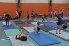 295 esportistes participaran dissabte al Primer Torneig Ciutat d'Olot de Gimnàstica Artística femenina i masculina