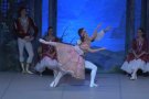 El ballet 'El llac dels cignes' interpretat pel Russian Classical Ballet esgota l'aforament del Teatre Principal d'Olot