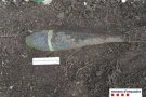 Un ciutadà localitza un artefacte de la Guerra Civil a la muntanya d'Aiguanegra