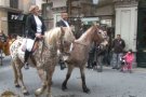 165 cavalls i carruatges participen a la Cavallada de l'Associació Units pel Cavall pel dia de Sant Antoni del Porquet i reben la benedicció