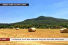 La Garrotxa viu un dels mesos de maig més sec dels últims anys