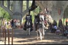 El Besalú Medieval ha estat guardonat amb el Premi a la Millor Iniciativa Promocional del 2016
