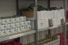 El Gran Recapte a Olot recull més de 29.000 unitats per al Centre de Distribució d'Aliments de la Garrotxa