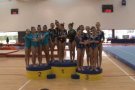 Prop de 500 gimnastes participen al segon Torneig Ciutat d'Olot de Gimnàstica Artística