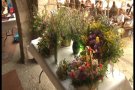 Un any més se celebra l'Herbesalú, la festa de les flors i la ratafia