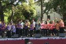 La VI Trobada de Cors Gospel col•labora amb l'Associació TEA Garrotxa