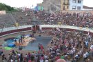 La companyia etíop Fekat Circus actua a Olot dins del cicle Circ a la Plaça