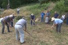 Una vuitantena de persones gaudeixen de la Festa del Segar i Batre de la Vall de Bianya