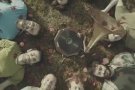 L'Hora de Joglar s'acomiada aquest dissabte a la Sala Apolo de Barcelona de la Gira Abrak'Abranka
