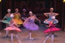 El Russian Classical Ballet torna a Olot per ballar la història de La bella dorment amb una bona assistència