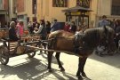 La Festa de Sant Antoni d'Olot omple els carrers de la ciutat