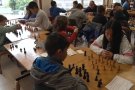 El Campionat Escolar d'Escacs de la Garrotxa arriba a la fase final
