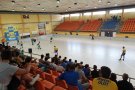 Derrota del CH Olot B-Sensible a casa contra el Cerdanyola en un partit en què podia haver guanyat qualsevol dels dos equips (2-4)