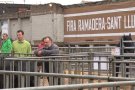 La Fira Ramadera de Sant Lluc reforça la vessant més comercial amb una vintena d'estands
