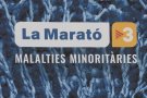 L'Estadi Municipal i el Pavelló d'esports seran els dos escenaris principals de la Marató de TV3 a Olot