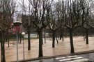 El Fluvià es desborda a Olot i a la Vall d'en Bas