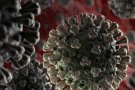 El primer cas confirmat de coronavirus a la Garrotxa és una dona de 28 anys que es troba al domicili