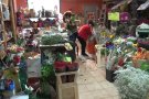 Les floristeries garrotxines no perden la tradició i venen roses a domicili o a l'exterior de l'establiment