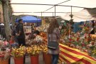 Olot celebrarà el Sant Jordi d'estiu amb sis parades professionals al Firal
