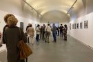 'Pirineus', l'exposició del col·lectiu d'artistes ArtPirineus que es pot veure al Museu de la Garrotxa fins el 4 d'octubre