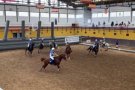 Els olotins Marià Clavell i Laia Mitjà es proclamen campions de la lliga espanyola de horseball amb els seus respectius clubs