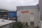 Zoetis crearà 100 nous llocs de treball en els propers dos anys