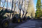 Una dotzena de tractorades reclamen mesures urgents per a la pagesia