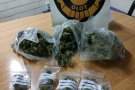 La Policia Municipal d'Olot deté un jove veí de Banyoles per un delicte contra la salut pública