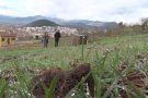 La zona d'horts municipals de la falda del Montsacopa, ordenada i preparada per cultivar